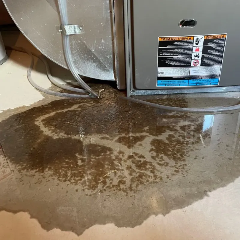 Pipe Burst and Leak Restoration in Harrison County, KY